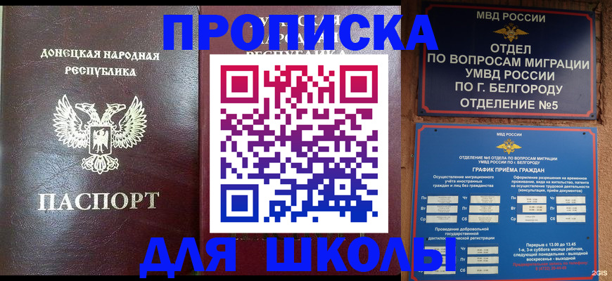 прописка для работы в Михайловке